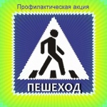Госавтоинспекция Копейского городского округа проводит мероприятия по профилактике наездов на пешеходов с 11 по 15 октября 2023 года